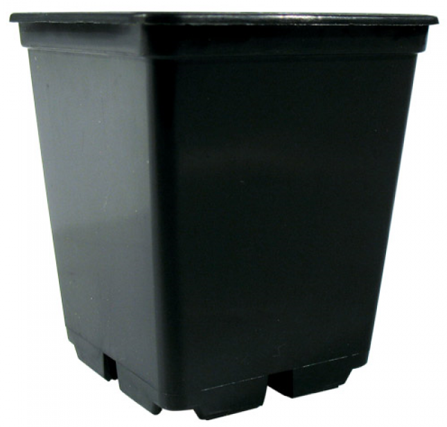 0,25L Topf viereckig 7x7x8cm